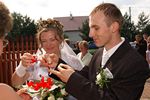 slub_DSC_0268.JPG