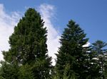 solina_100_0768.jpg