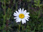 solina_100_0804.jpg