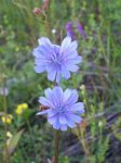 solina_100_0806.jpg