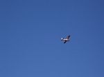 solina_100_0828.jpg