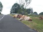 solina_100_0852.jpg