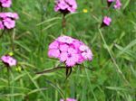 solina_100_0858.jpg