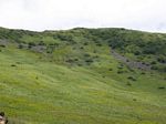 solina_100_0881.jpg