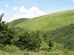 solina_100_0883.jpg