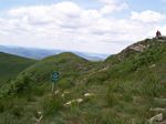 solina_100_0911.jpg