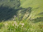 solina_100_0913.jpg