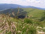 solina_100_0914.jpg