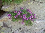 solina_100_0927.jpg