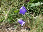 solina_100_0930.jpg