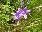 solina_100_0932.jpg