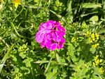 solina_100_0947.jpg