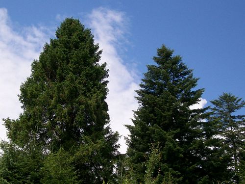 solina_100_0768.jpg