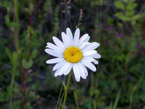 solina_100_0804.jpg