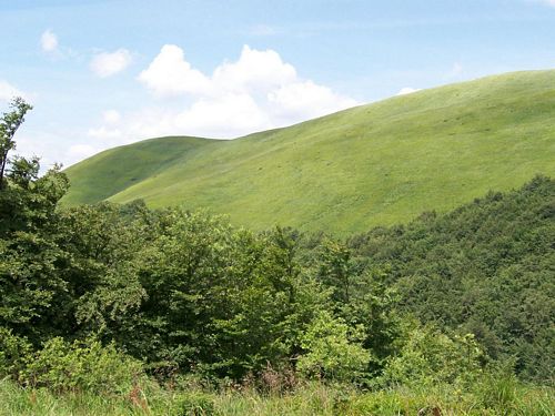 solina_100_0883.jpg