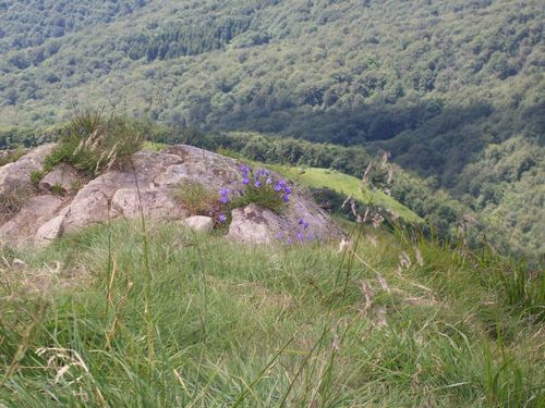 solina_100_0909.jpg