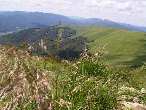 solina_100_0914.jpg