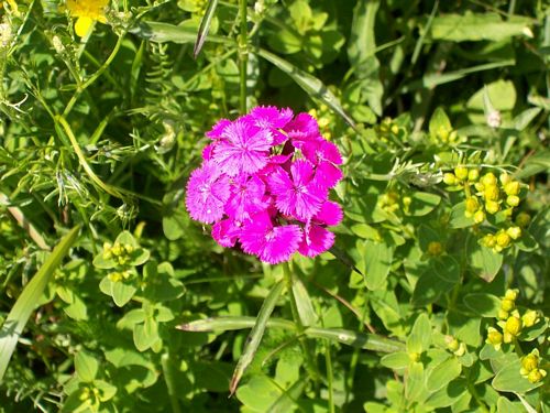 solina_100_0947.jpg
