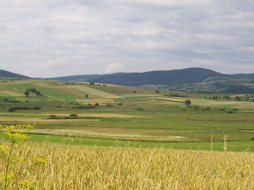 solina_100_0969.jpg